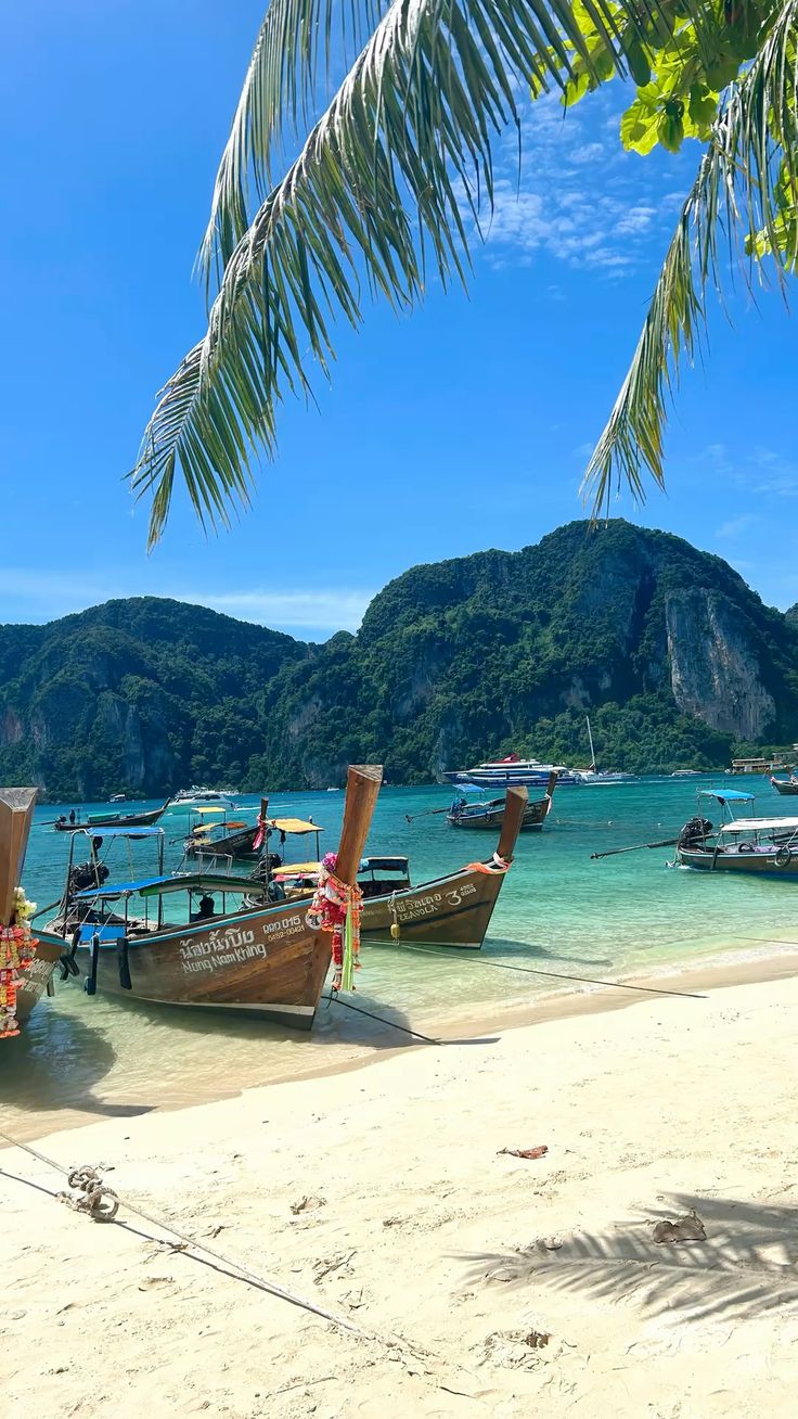 10 ايام تايلاند - بانكوك - بوكيت - بانكوك